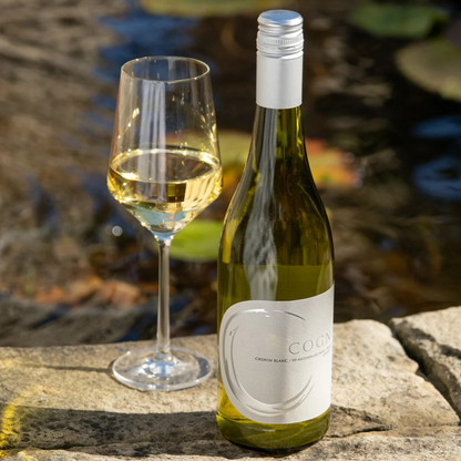 Bottle and glass of white wine on a stone surface with a blurred natural background